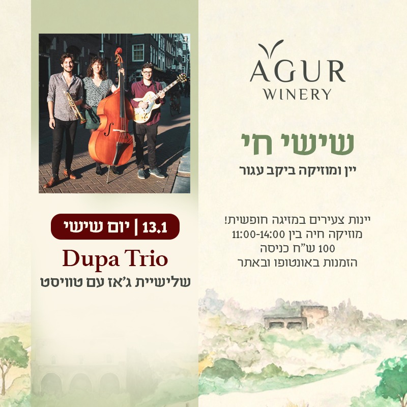 דופה טריו בהופעה